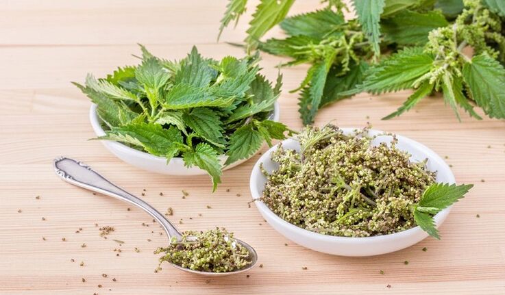 nettle seeds for effectiveness
