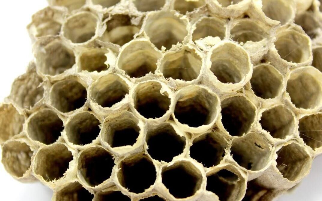 bee glue to increase effectiveness